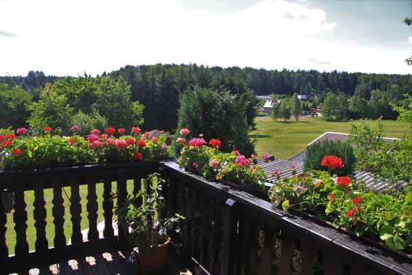 Aussicht vom blumengeschmückten Balkon auf den Waldrand